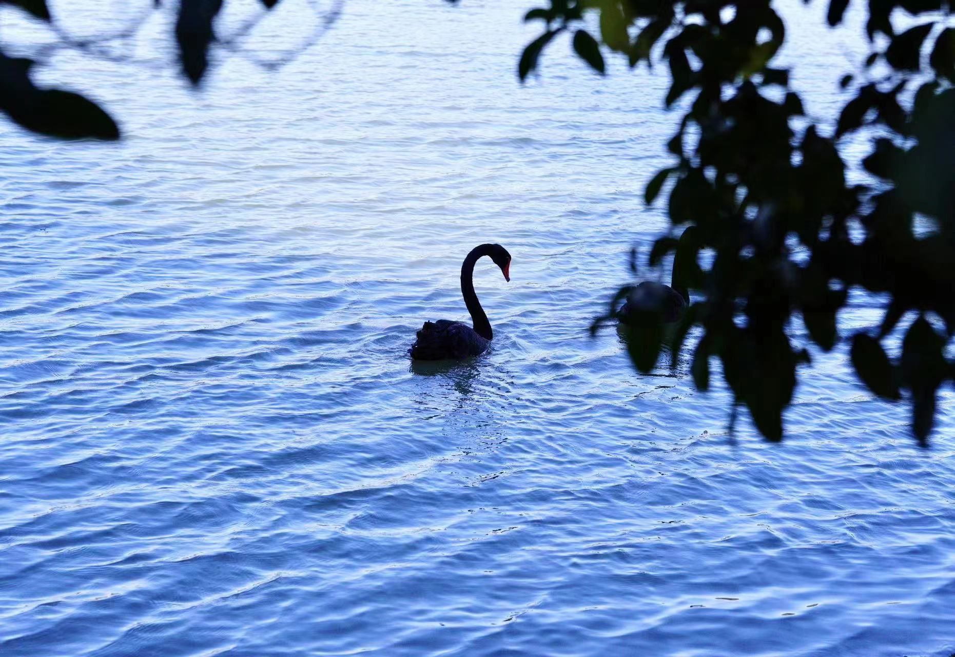 以行促學 賦能宣傳 | 2023通訊員交流活動圓滿結束